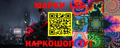 СК Новозыбков