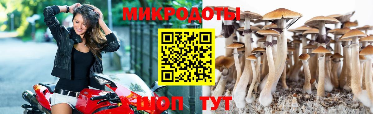 Сызрань  Галлюциногенные грибы GOLDEN TEACHER  Вход с VPN 